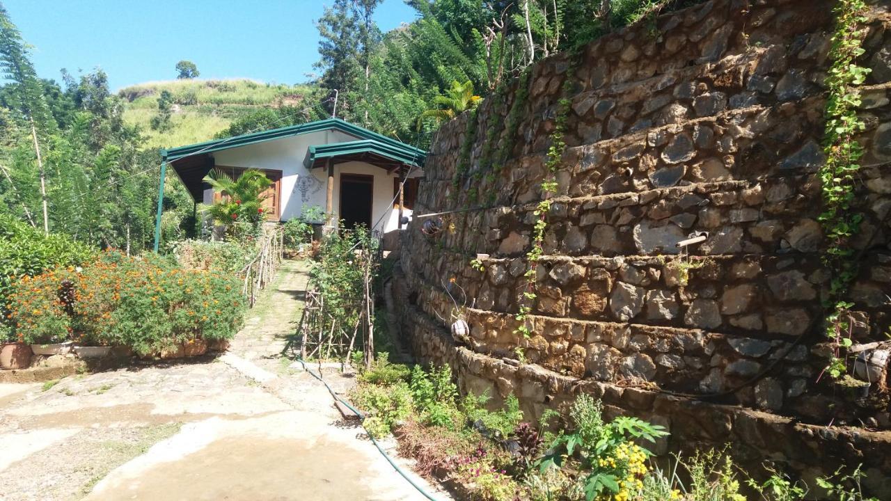 Artist Cottage 哈普特莱 外观 照片