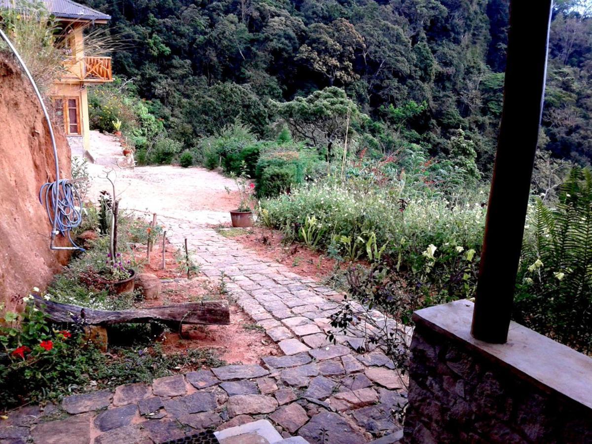 Artist Cottage 哈普特莱 外观 照片