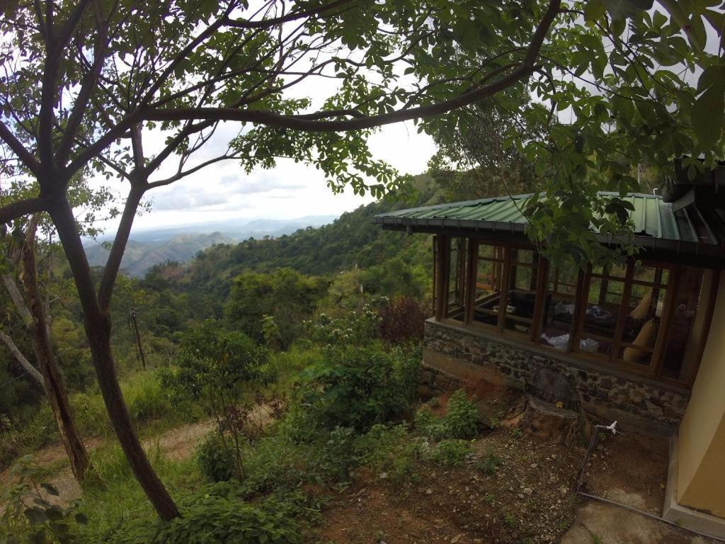 Artist Cottage 哈普特莱 外观 照片