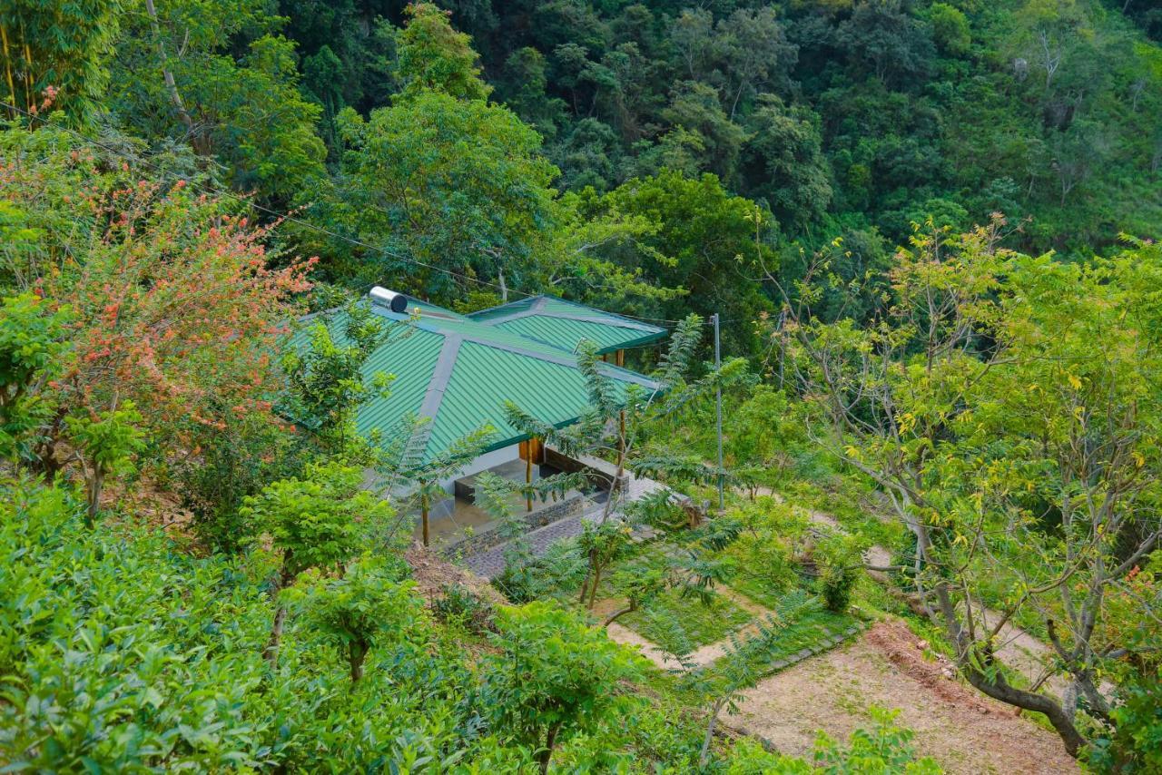 Artist Cottage 哈普特莱 外观 照片